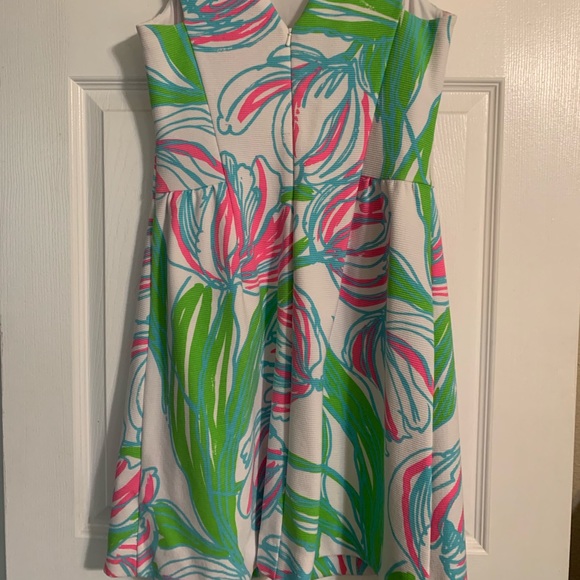 Lilly Pulitzer Dress - Picture 3 of 4